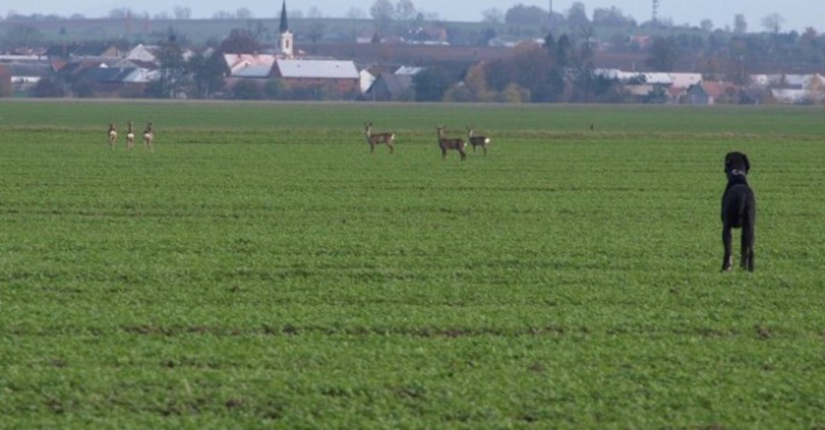 PA316551.jpg